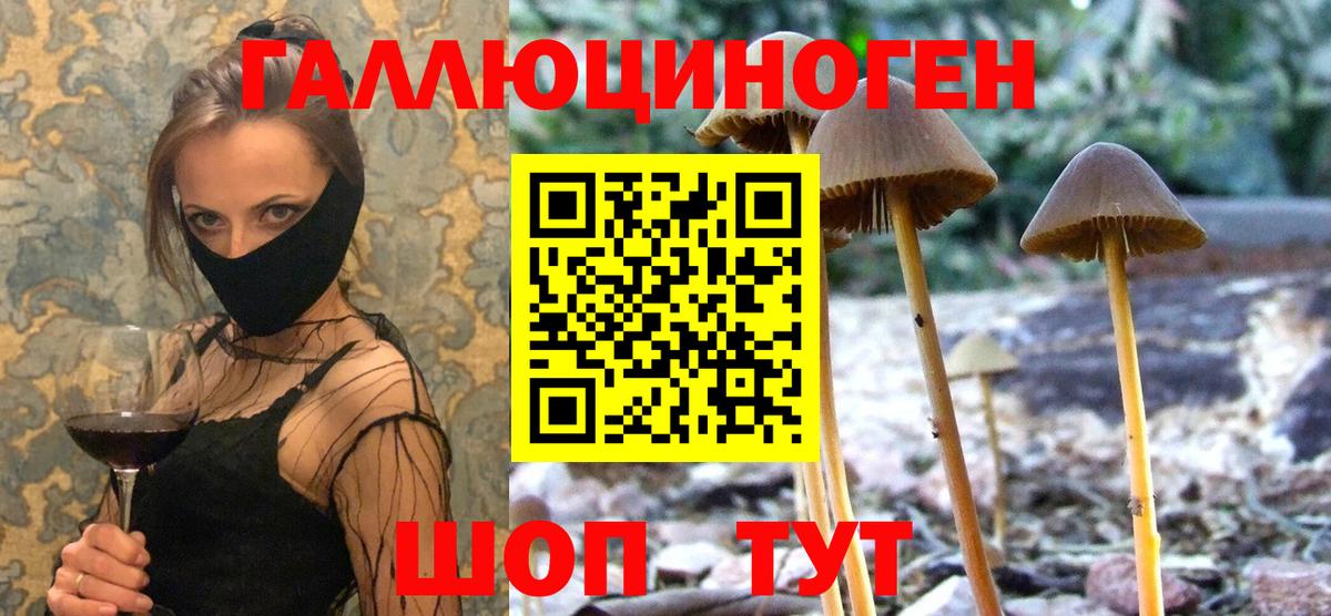Псилоцибиновые грибы Cubensis  Вход с VPN  Галлюциногенные грибы GOLDEN TEACHER  Губкин 