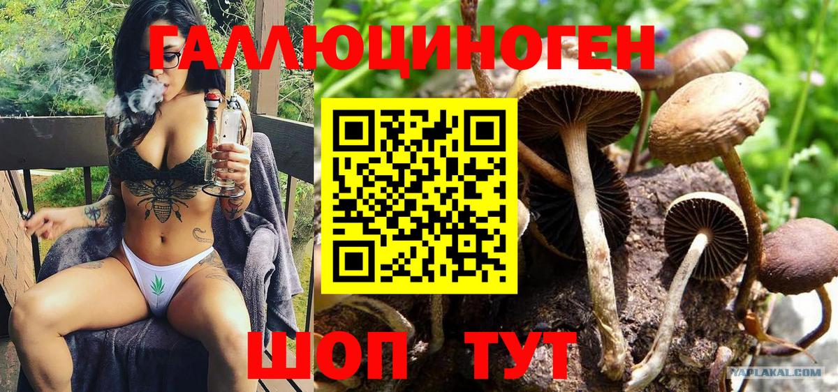 Галлюциногенные грибы Magic Shrooms Губкин
